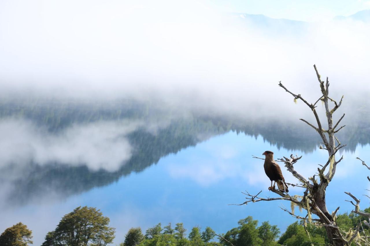 Hermoso Eco Lodge San Martín de los Andes Eksteriør bilde