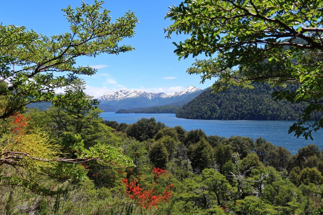 Hermoso Eco Lodge San Martín de los Andes Eksteriør bilde