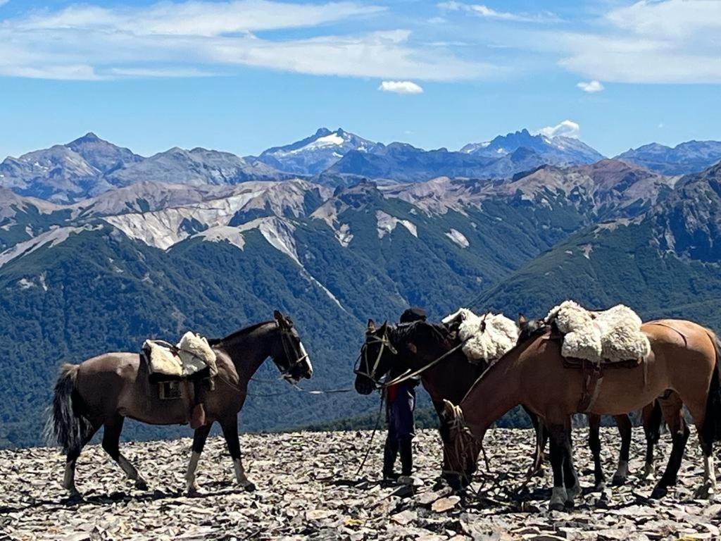 Hermoso Eco Lodge San Martín de los Andes Eksteriør bilde